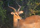 Etosha